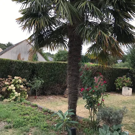 Bed and breakfast D'hotes Chez Christiane